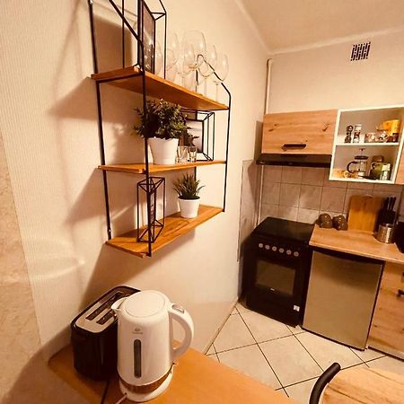 Apartamenty Ktw Park Slaski Luksusowy Prl カトヴィツェ エクステリア 写真
