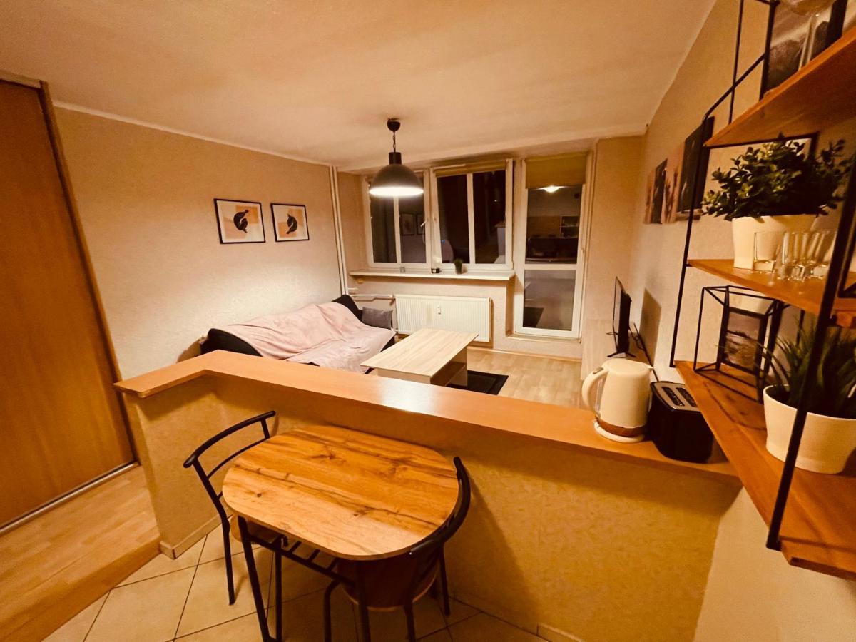 Apartamenty Ktw Park Slaski Luksusowy Prl カトヴィツェ エクステリア 写真