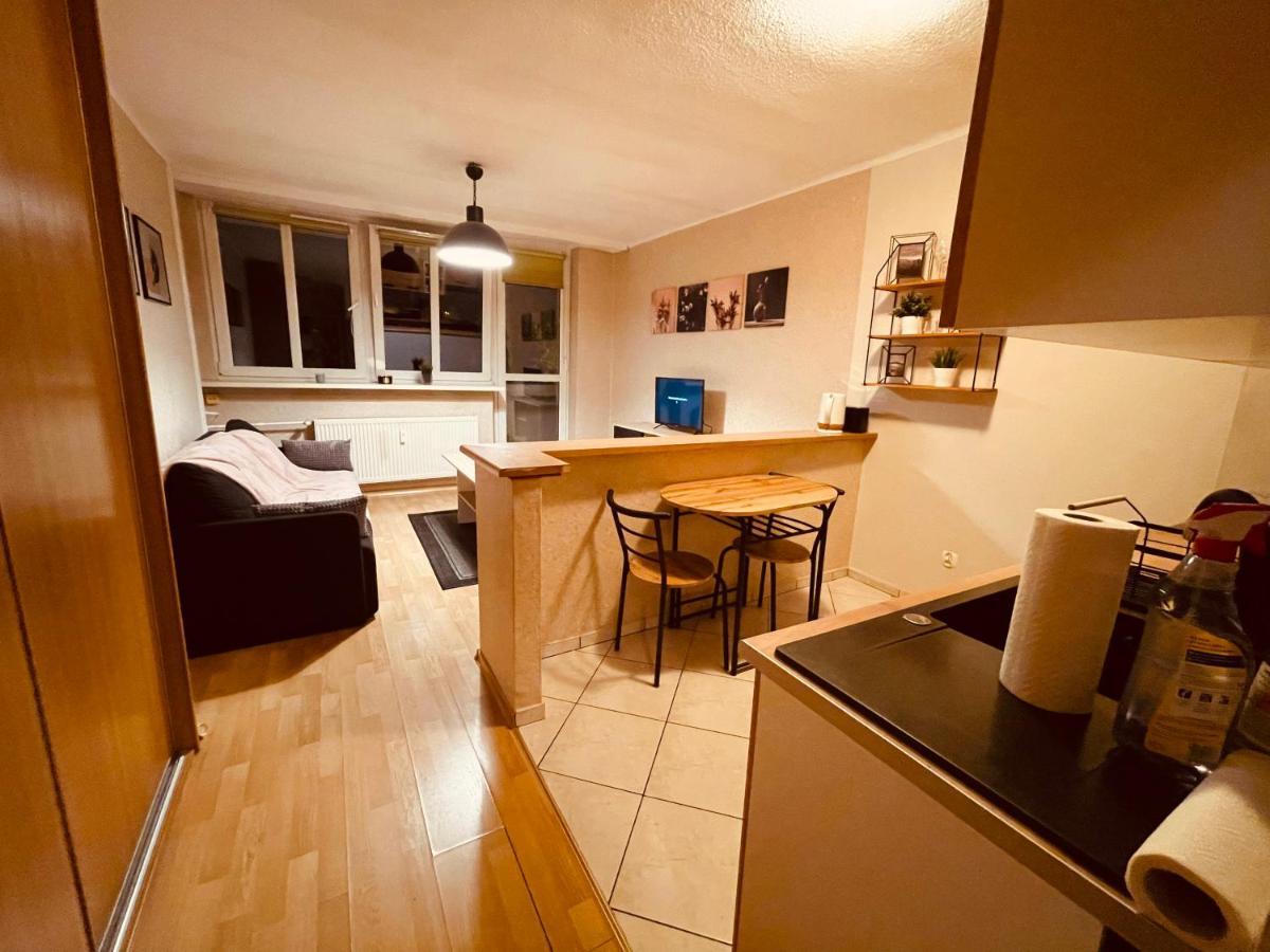 Apartamenty Ktw Park Slaski Luksusowy Prl カトヴィツェ エクステリア 写真
