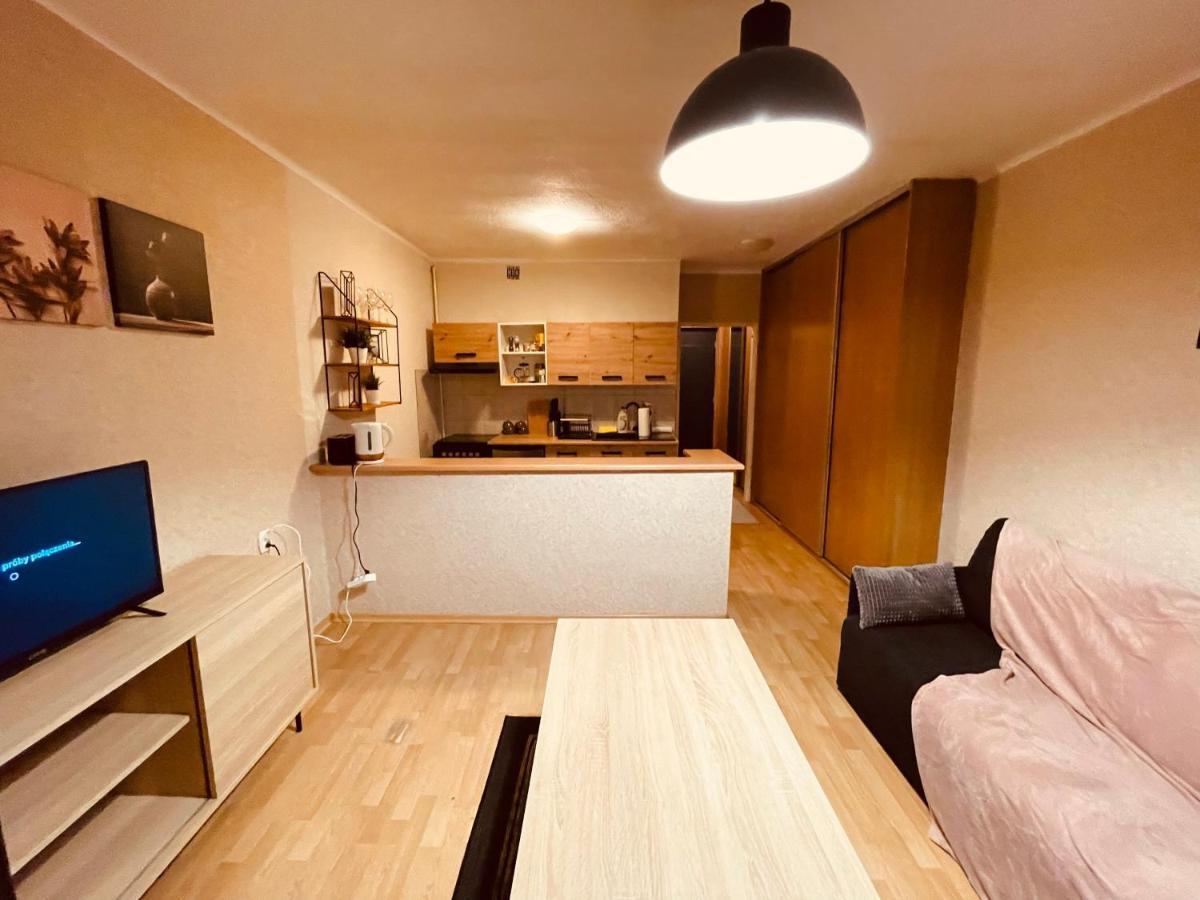 Apartamenty Ktw Park Slaski Luksusowy Prl カトヴィツェ エクステリア 写真